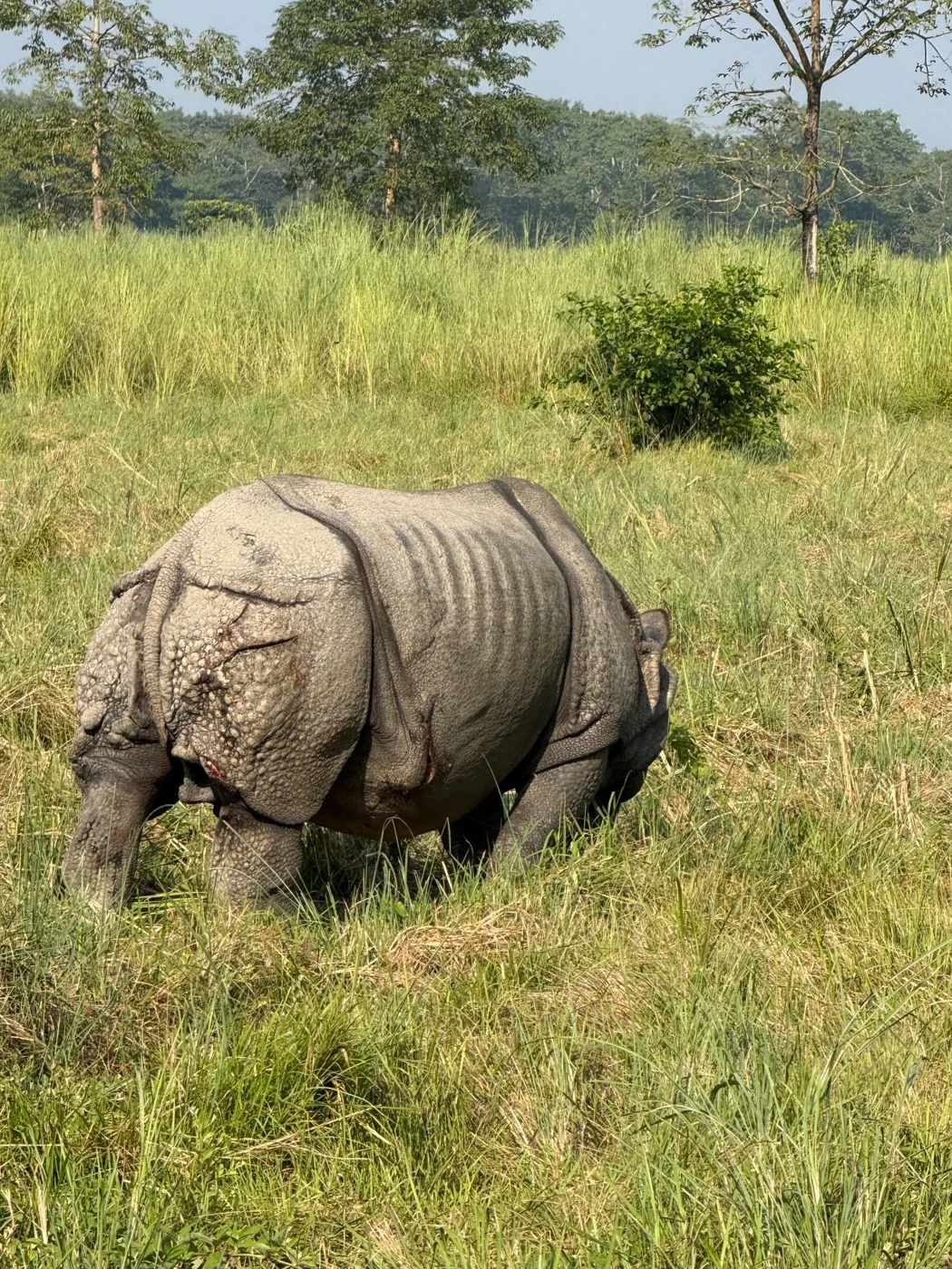 Chitwan Wildlife Safari & Tharu Culture