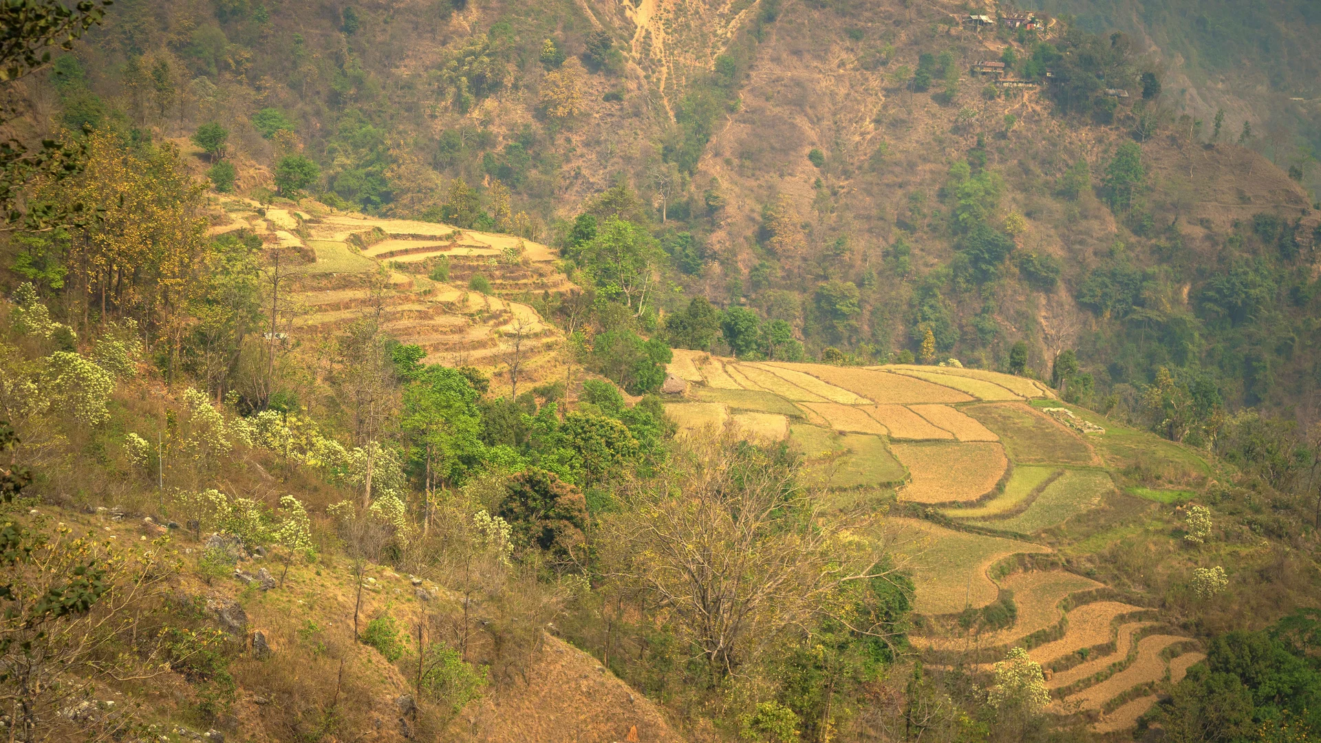 Kakani Hilltop Experience
